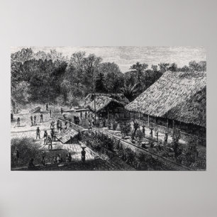 Workers on a Coffee Plantation Poster