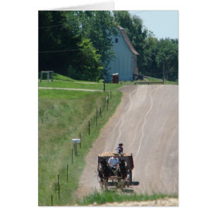 Working Amish Pinto Draughts On the Road