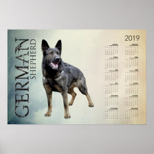 Working German Shepherd Dog  - GSD Calendar 2019 Poster