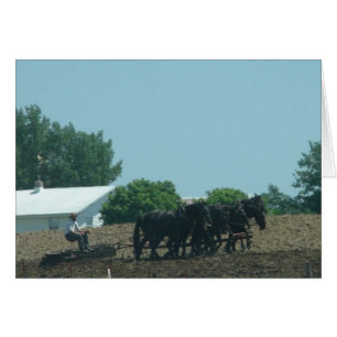 Working Horses
