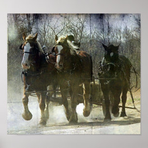 Working Horses Poster