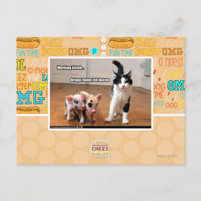 Working kitteh postcard (Front)