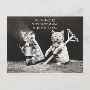 Working Kittens Holiday Postcard