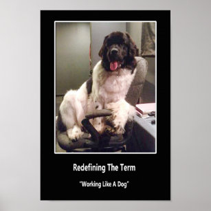 Working Like a Dog Poster