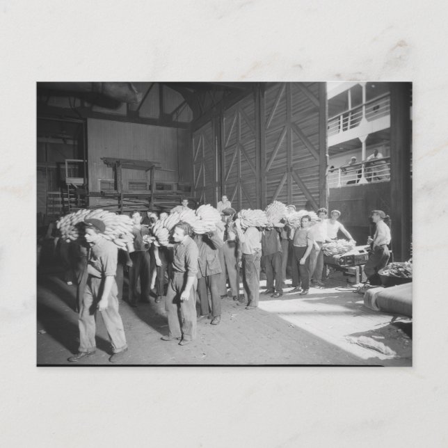 Working on the Banana Boat - Vintage Postcard (Front)