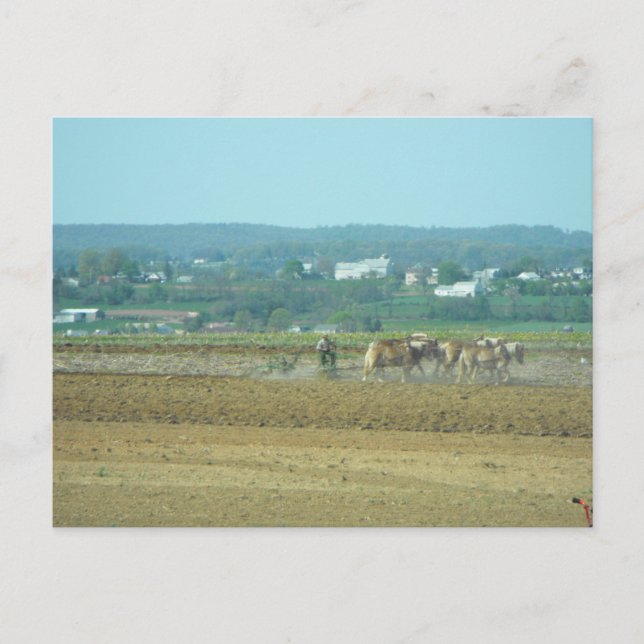 ~ Working the Fields 4 ~ Postcard (Front)