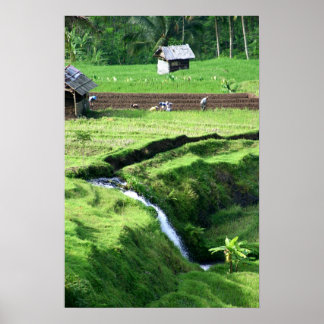 Working the Fields Poster