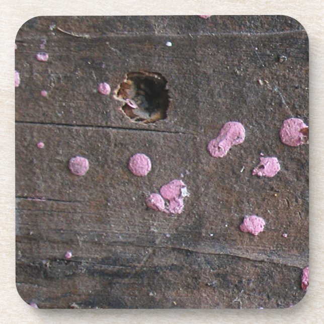 Working Wood 4 Coaster (Front)