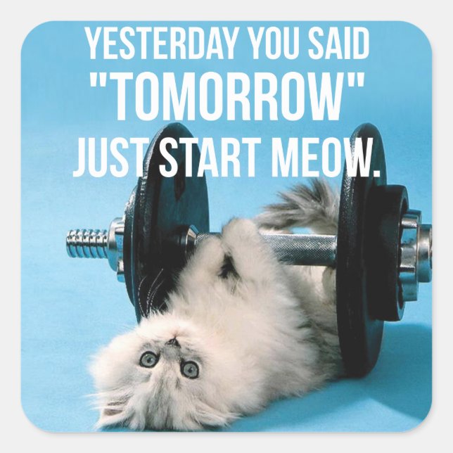 Workout Funny Motivation - Cat - Start Meow Square Sticker (Front)