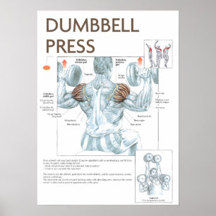 Workout Motivational Poster