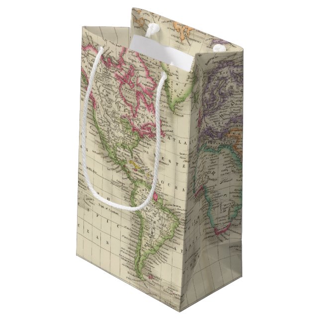 World 9 small gift bag (Back Angled)
