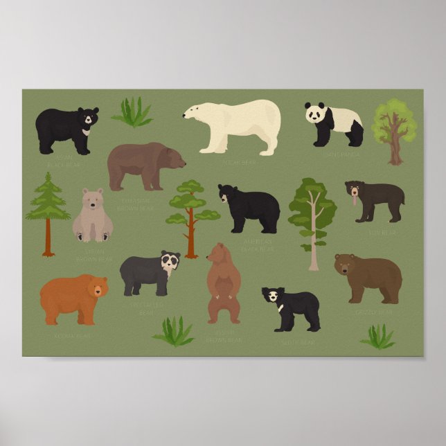World Bears Poster (Front)