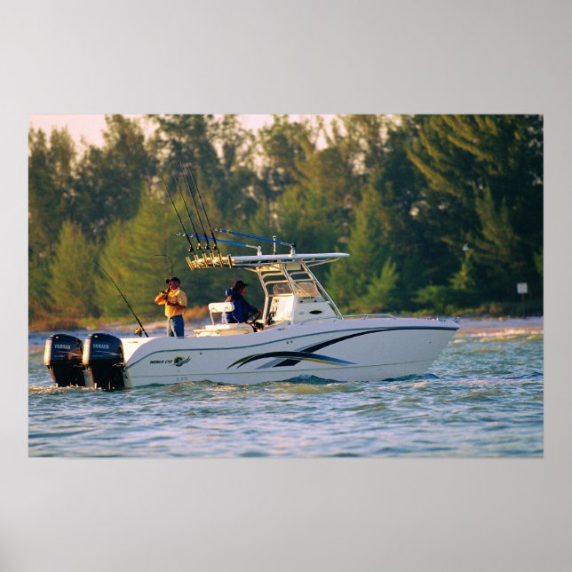 World Cat 250SF Poster (Front)