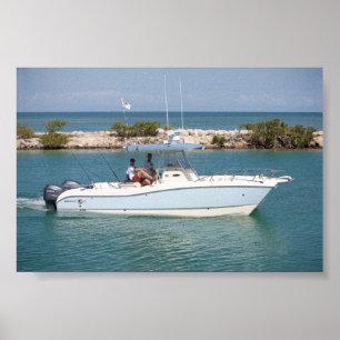 World Cat 270SF Poster