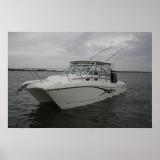 World Cat 320EC Poster