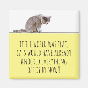 World Flat Cats Knock Everything Off Funny Fridge Magnet