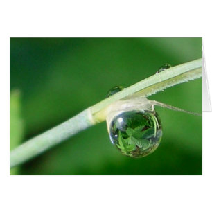 World in a droplet