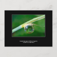 World in a droplet