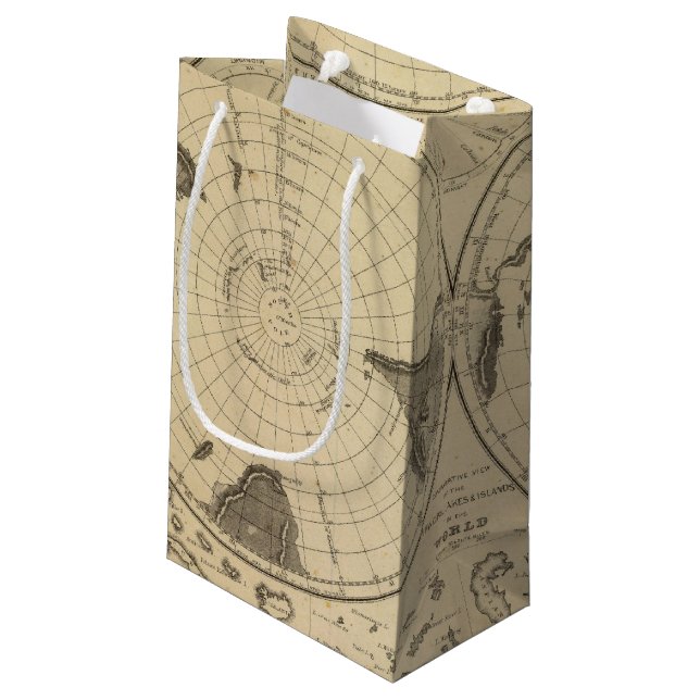 World land surface small gift bag (Back Angled)