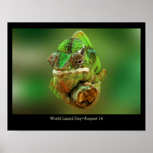 World Lizard Day, chameleon Poster