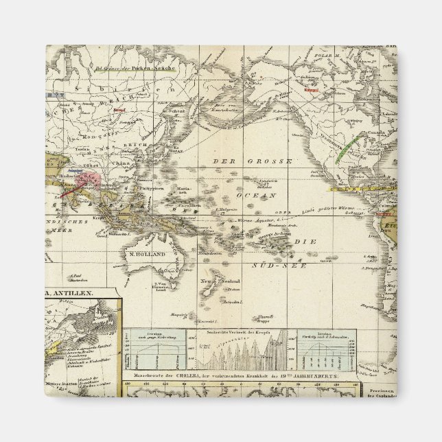 World Map of Diseases Magnet (Front)