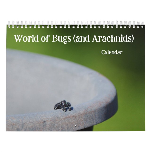 World of Bugs and Arachnids Creepy Crawly Calendar (Cover)