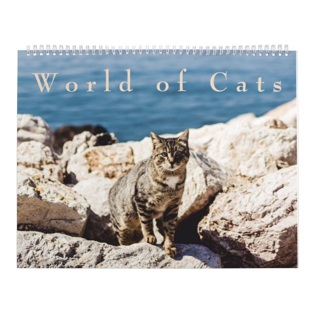 World of Cats Calendar (Cover)
