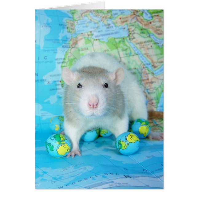 World Rat Day Card (Front)