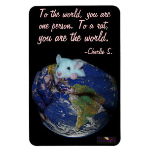 World Rat Flexi Magnet 4"x6"