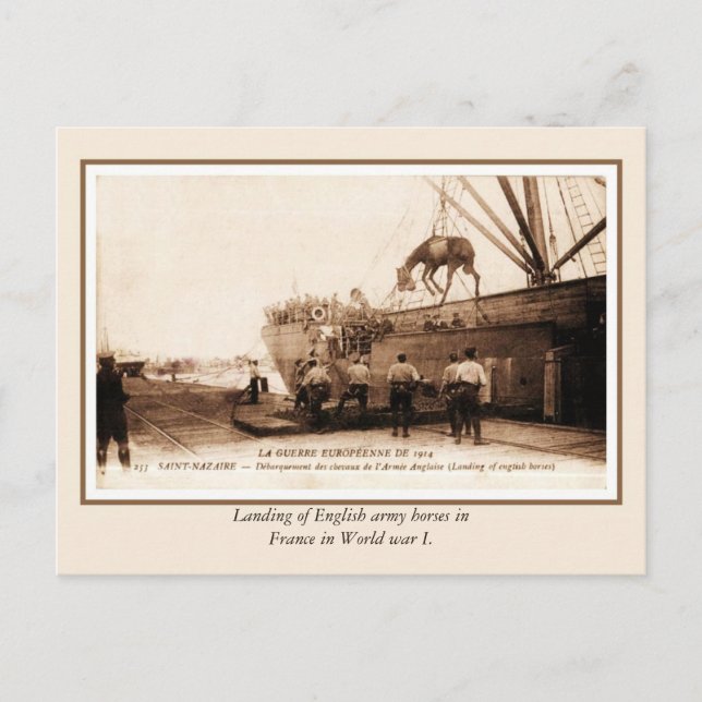 World War I landing of British horses in France Postcard (Front)
