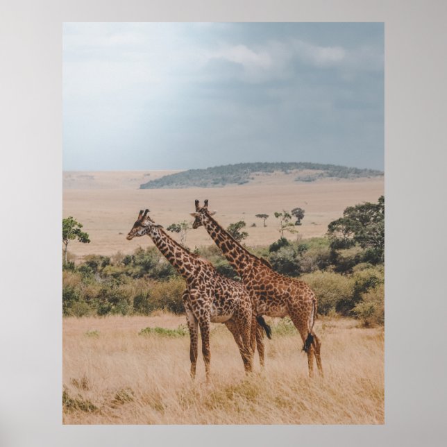 WORLD WILDLIFE DAY POSTER (Front)