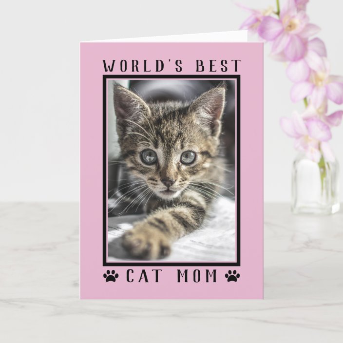 World's Best Cat Mum Happy Birthday Photo Pink Card | Zazzle.com.au