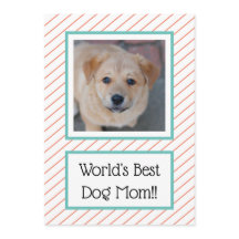 World's Best Dog Mum Coral Striped