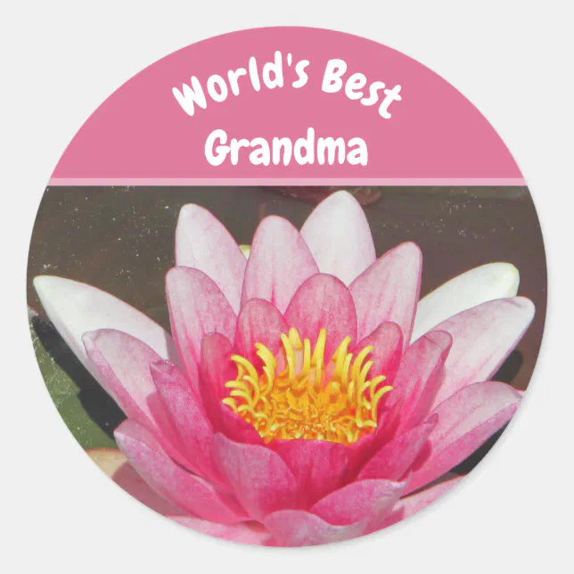 World's Best Grandma Vivid Pink Water Lily Flower Classic Round Sticker ...