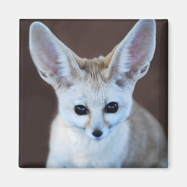 Worlds Cutest Fennec Fox Magnet (Front)