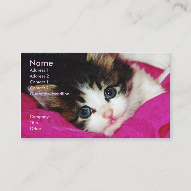 World's Cutest Kitten Business Card (Front)