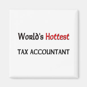 World's Hottest Tax Accountant Magnet