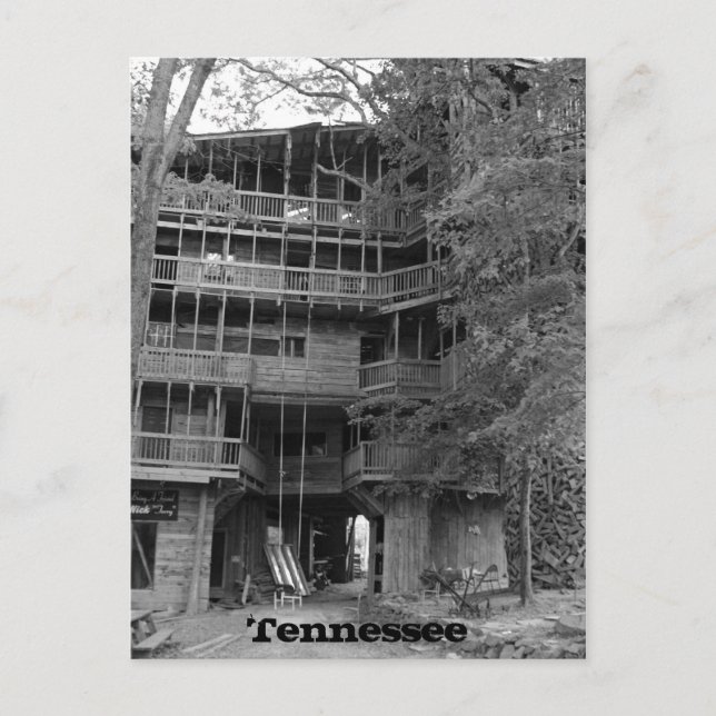 Worlds Largest Treehouse Postcard (Front)
