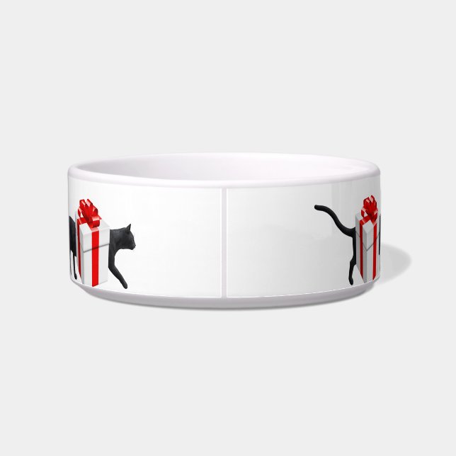 World's Longest Cat Bowl (Back)