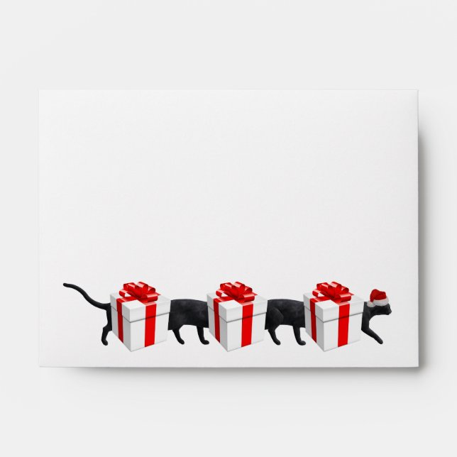 World's Longest Cat Envelope (Front)