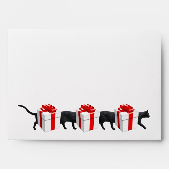 World's Longest Cat Envelope (Front)
