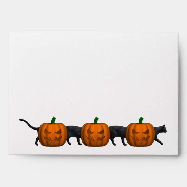 World's Longest Cat Envelopes (Front)