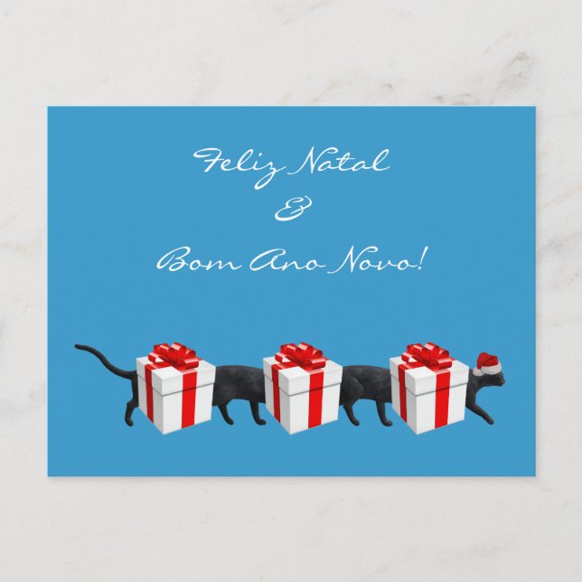 World's Longest Cat Postcard (Front)