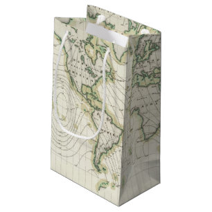 World's magnetic declination small gift bag