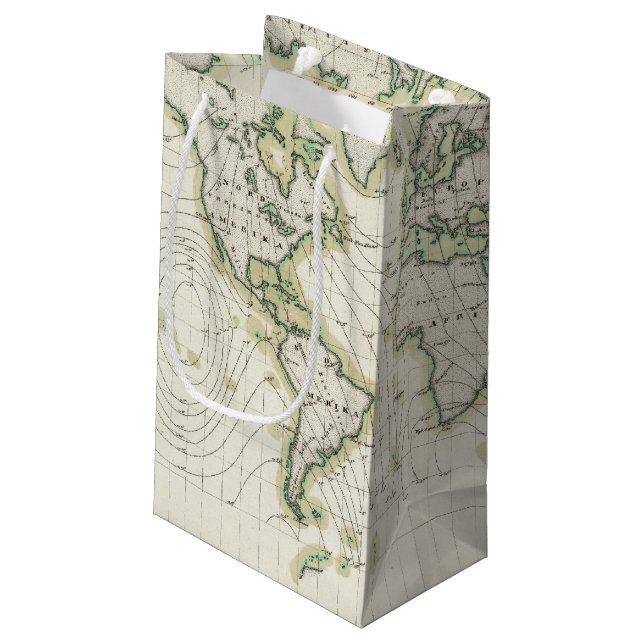 World's magnetic declination small gift bag (Back Angled)