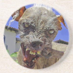 World's Ugliest Dog Coaster
