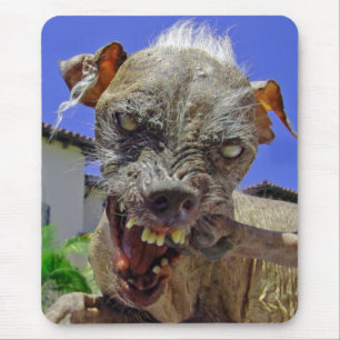 World's Ugliest Dog Mouse Pad