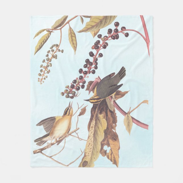 Worm-Eating Warbler Audubon songbird Fleece Blanket (Front)