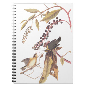 Worm-Eating Warbler Audubon songbird Notebook