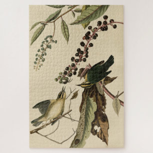 Worm eating Warbler - Audubon's Birds of America Jigsaw Puzzle